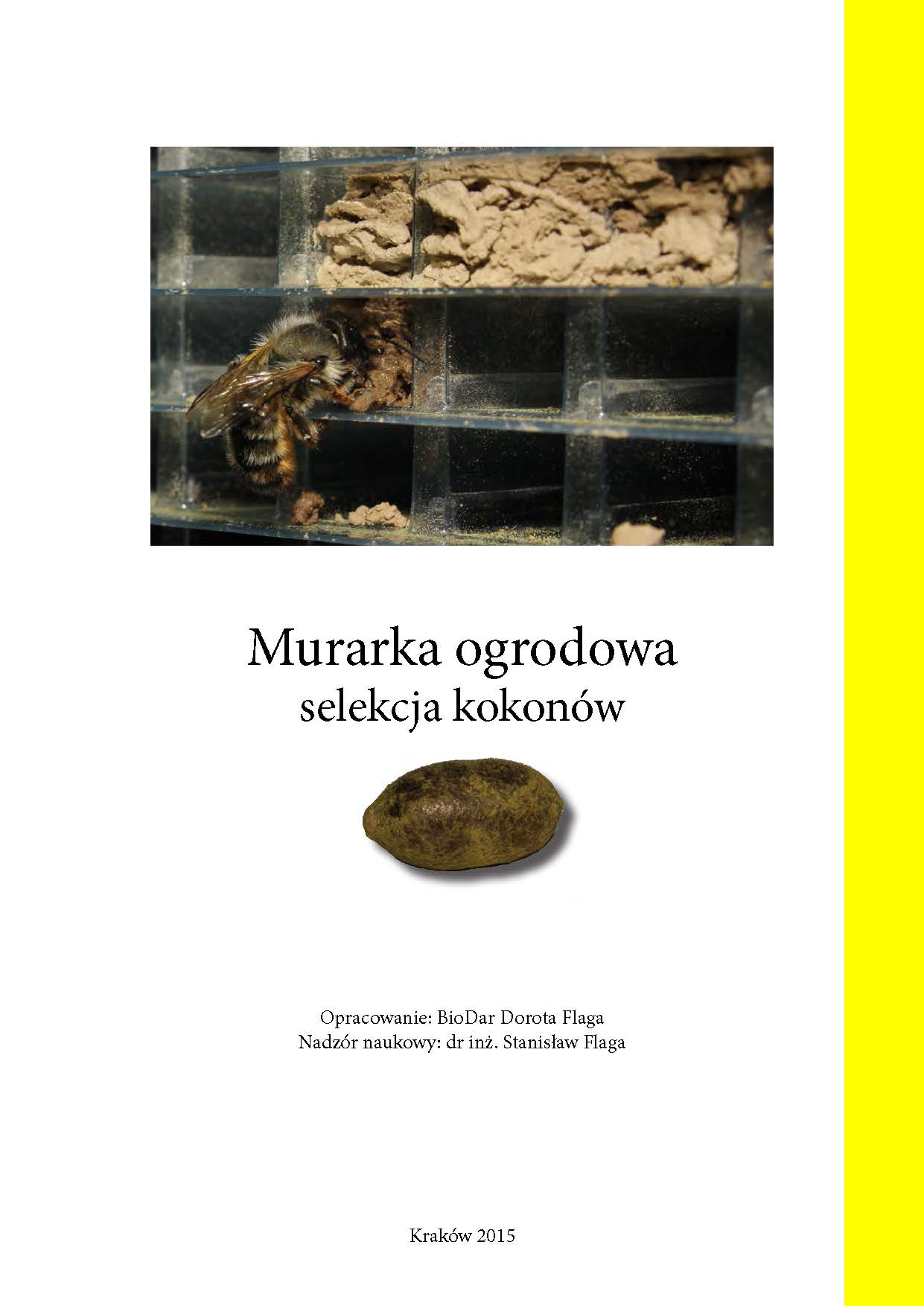 poradnik - Murarka ogrodowa - selekcja kokonów